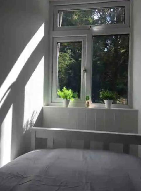 A Woodland Retreat - Apartment In Converted Mill Helston Εξωτερικό φωτογραφία